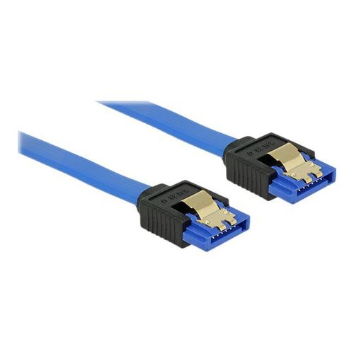 Delock - Câble SATA - Serial ATA 150/300/600 - SATA (R) pour SATA (R) - 50 cm - verrouillé - bleu