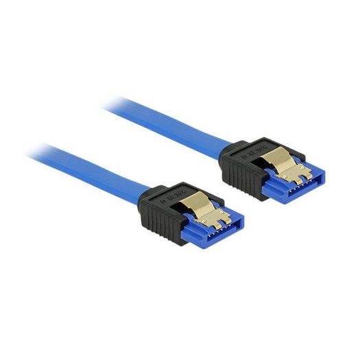 Delock - Câble SATA - Serial ATA 150/300/600 - SATA (R) pour SATA (R) - 70 cm - verrouillé - bleu