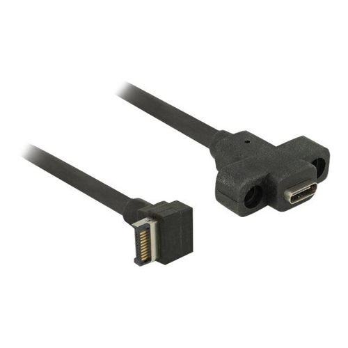 Delock - Câble interne USB vers externe - tête 20 broches USB 3.0 (M) incliné pour 24 pin USB-C (F) rackable sur panneau - 45 cm