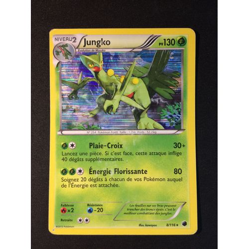 Jungko 8/116 Set Noir & Blanc Glaciation Plasma Fr