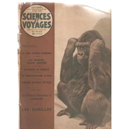 Sciences Et Voyages 29 La Mer Les Quaranis Chamois Harlem Les Gorilles