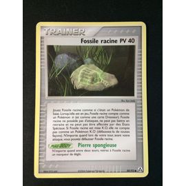 Fossile Racine Pv 40 80/92 Set Ex Créateurs De Légendes Fr