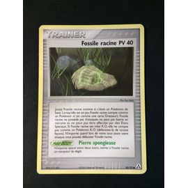 Fossile Racine Pv 40 80/92 Set Ex Créateurs De Légendes Fr