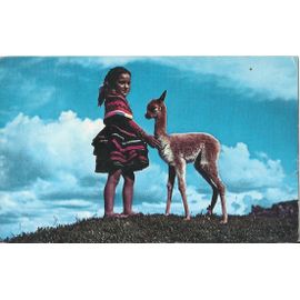 Cuzco - Baby Vicuna