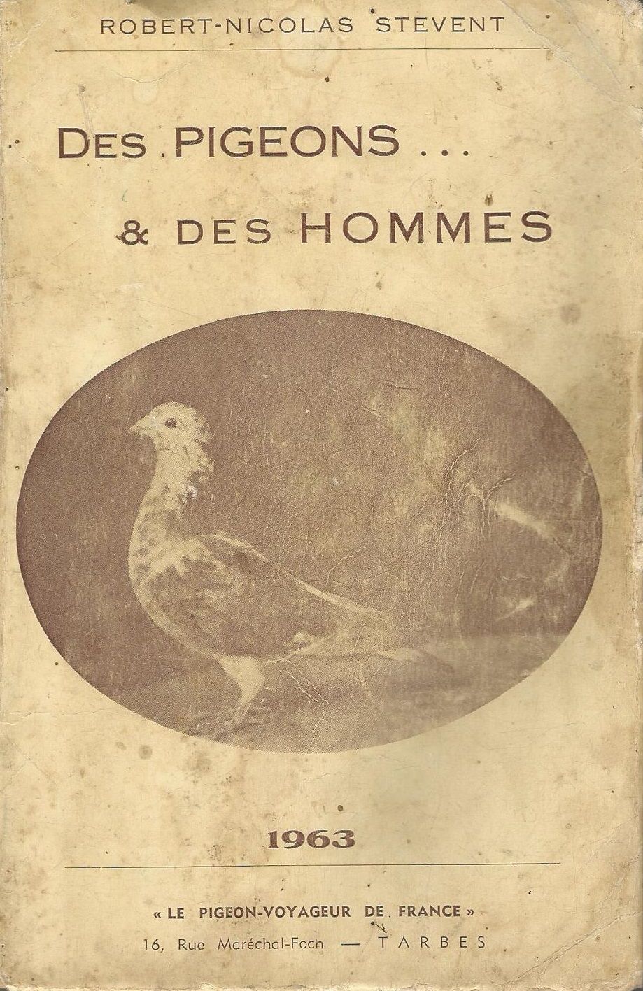 Des Pigeons... & Des Hommes