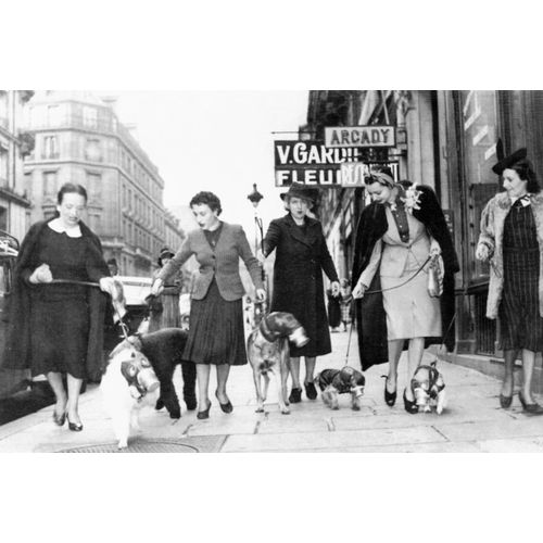Ww2 - Les Chiens Des Parisiennes Portent Le Masque À Gaz En 1940