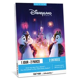 Disneyland Paris 1 Jour / 2 Parcs