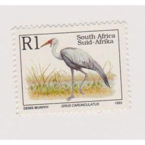 Timbre Afrique Du Sud Oiseaux Oiseau Animaux En Voie De Disparition Grus Carunculatus