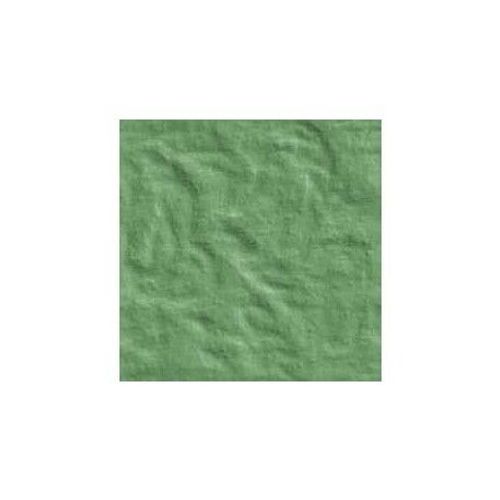 Argile Verte 1 Kg Poudre 
