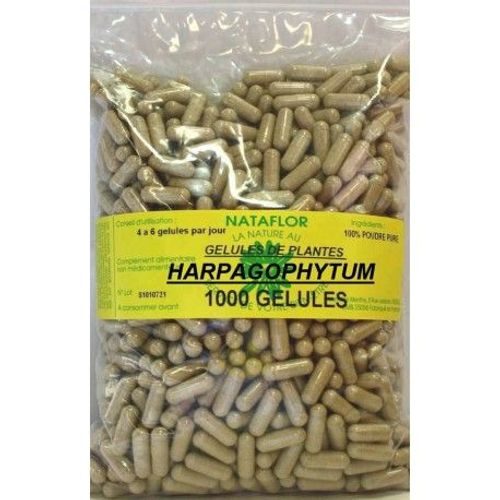 Gelules Harpagophytum 300 Mg 1000 Gelules 