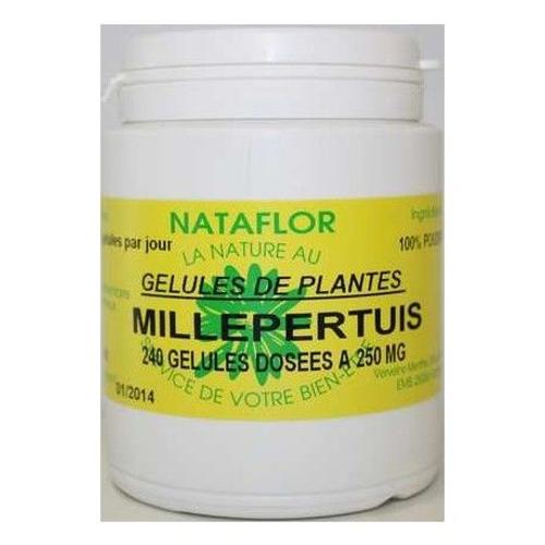 Gelules Millepertuis Plante 120 Gélules Dosées À 250 Mg. 