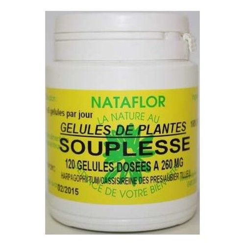 Souplesse Articulaire 120 Gélules 260 Mg Poudre Pure 