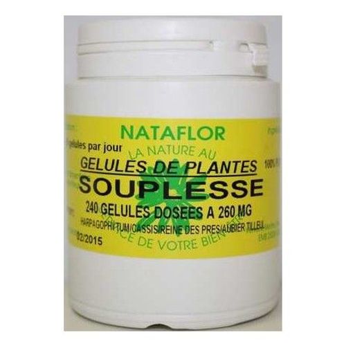 Souplesse Articulaire 240 Gélules 260 Mg Poudre Pure 