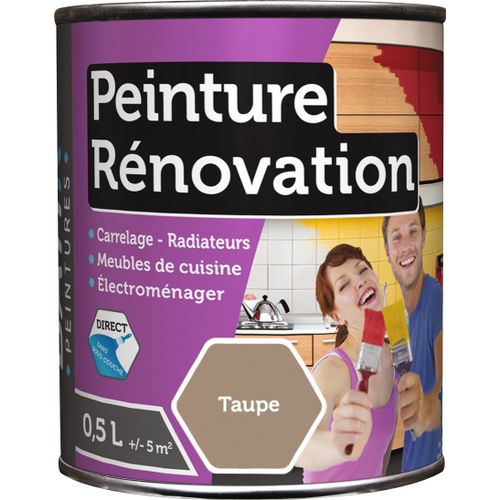 Peinture rénovation multi-surfaces Batir - Boîte 0,5 l - Taupe