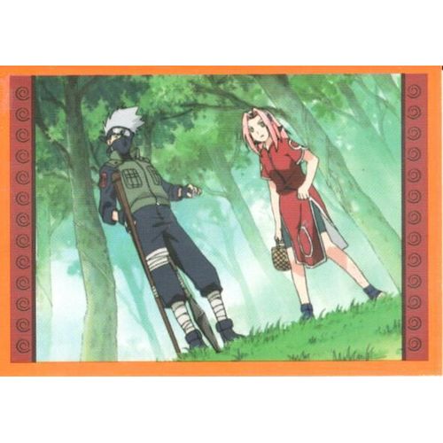 Naruto - True Spirit Of The Ninja, Image Panini Sh1