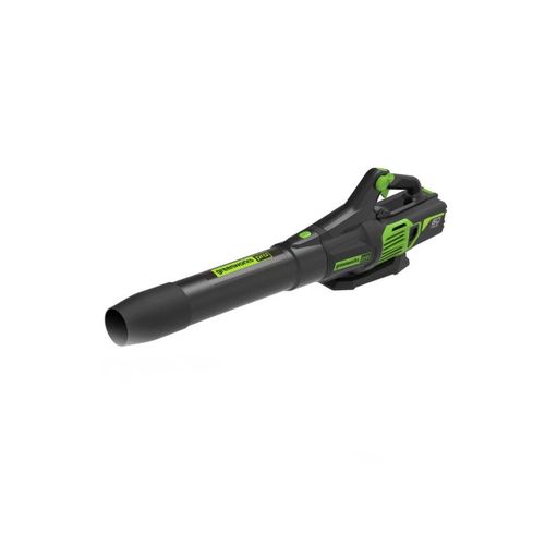 Souffleur 209 km/h 60V Brushless GREENWORKS - Sans batterie ni chargeur - GD60AB