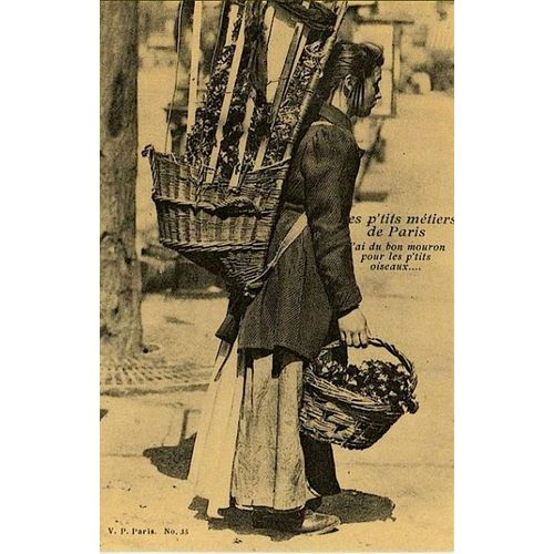 Journal De La Vieille France (Le)  46 