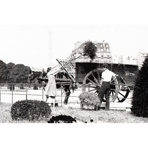 Ww2 - Fenaison Sur Le Champ De Mars À Paris En 1941
