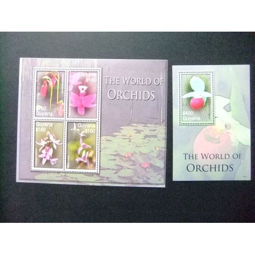 Guyana Guyane 2006 Flore Fleurs Orchidées Flores Orquideas Yvert 5889 / 92 + Bloc 502 ** Mnh / Aa