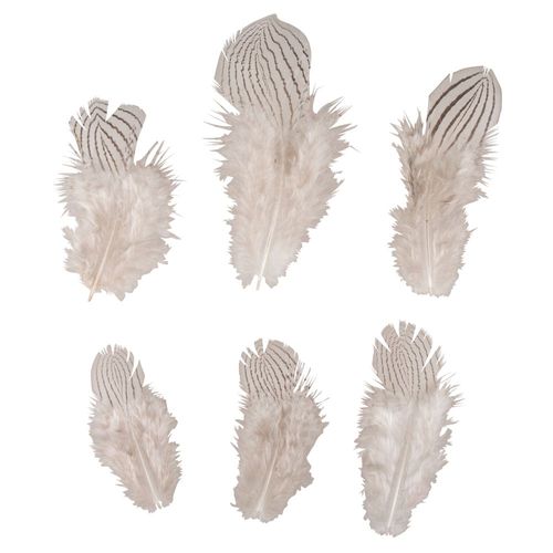 Plume Motif De Zèbre 8/12cm X6 - Rayher