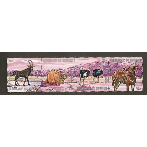 Animaux Sauvages
