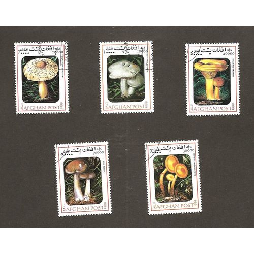Champignons