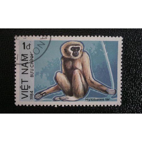 Timbre Vietnam (Yt 484 D ) 1984 Gibbon (Hylobates)