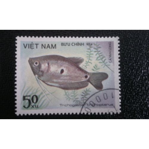 Timbre Vietnam (Yt 509 ) 1984 Gourami D'or (Trichogaster Trichopterus)