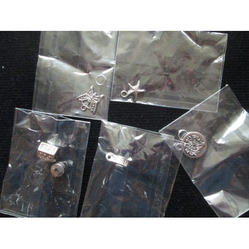 Lot De 5 Charms Argentés