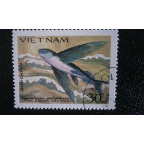 Timbre Vietnam (Yt 505 B ) 1984 Poisson Volant (Cypselurus Spilopterus)