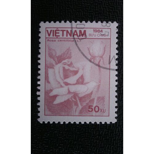 Timbre Vietnam (Yt 557 ) 1984 Rose (Rosa Centifolia)