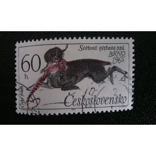 Timbre Tchécoslovaquie (Yt 1410 ) 1965 World Dog Show At Brno And The International Dog Breeders Co