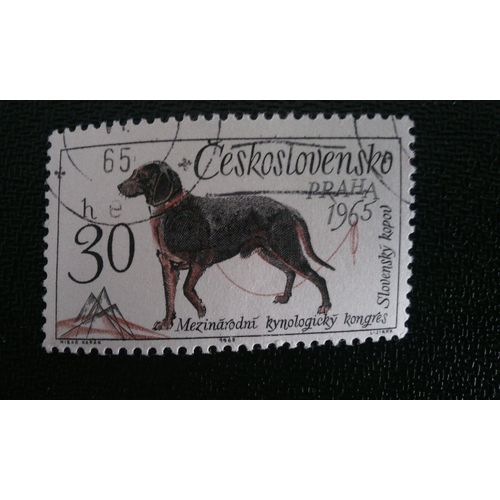 Timbre Tchécoslovaquie (Yt 1408 ) 1965 World Dog Show À Brno Et L'international Dog Breeders Co
