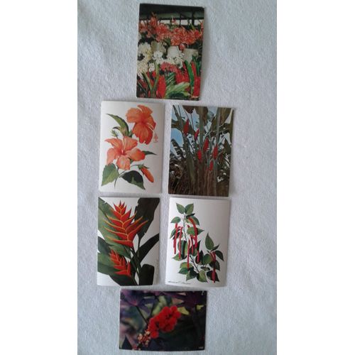 Beautes Florales Martinique