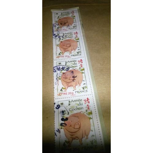 Année Lunaire Chinoise Du Cochon