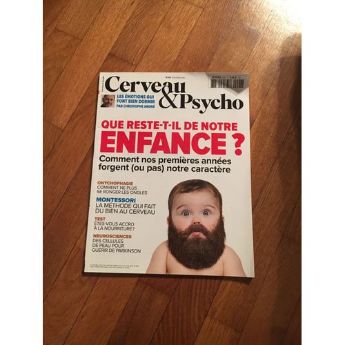 Cerveau Et Psycho 93