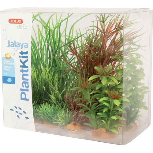 Plantkit Jalaya N°4