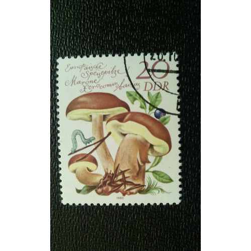 Timbre Allemagne - République Démocratique (Ddr) (Yt 2213 ) 1980 Agaricus Campestris