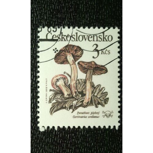 Timbre Tchécoslovaquie (Yt 2821 ) 1989 Cortinarius Orellanus - Araignée En Peluche