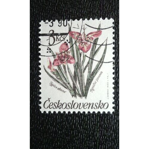 Timbre Tchécoslovaquie (Yt 2841 ) 1990 Tigridia Pavonia