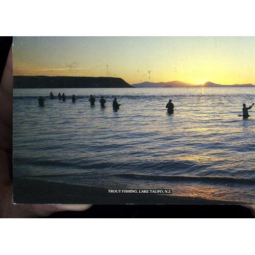 Carte Postale Du Lac Taupo (Nouvelle Zélande) Pêche À La Truite - Trout Fishing