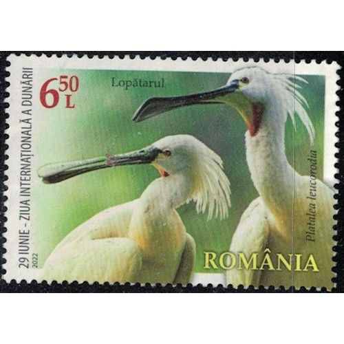 Roumanie 2022 Used Oiseau Platalea Leucorodia Spatule Blanche Y&t Ro 6885 Su