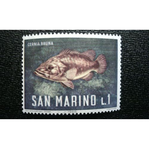 Timbre Saint Marin (Yt 676 ) 1966 Poisson Épave (Polyprion Americanum)