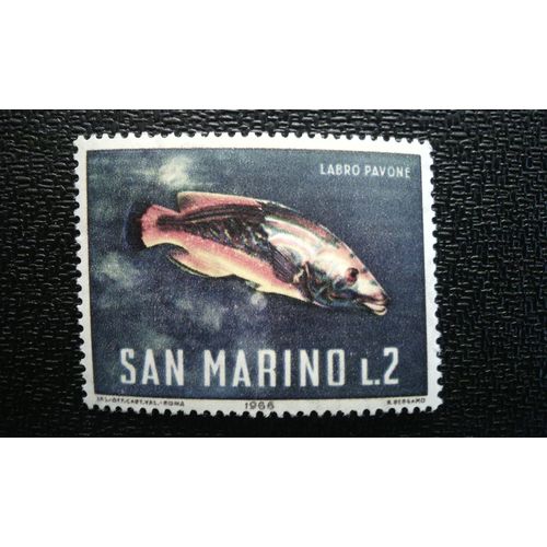 Timbre Saint Marin (Yt 677 ) 1966 Labre De Coucou (Labrus Bimaculatus)