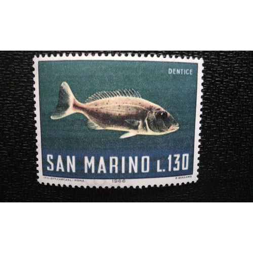 Timbre Saint Marin (Yt 685 ) 1966 Dentex Commun (Dentex Vulgaris)