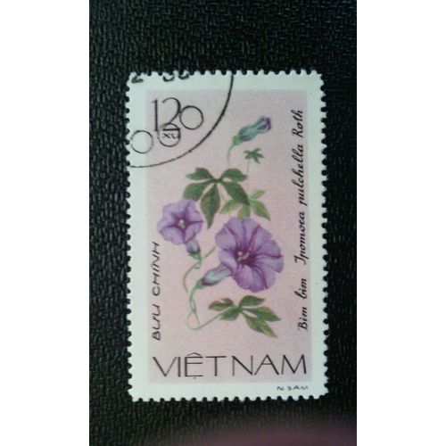 Timbre Vietnam (Yt 255 ) 1965 Fleurs Rampantes Ipomoea Pulchella