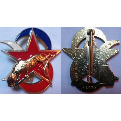 Insigne 3° Division Blindée Escadron D'éclairage Divisionnaire