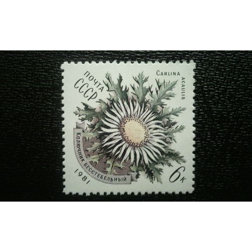 Timbre Urss (Yt 4803 ) 1981 Séries: Fleurs Carlina Acaulis