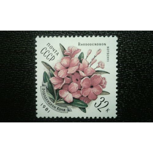 Timbre Urss (Yt 4806 ) 1981 Séries: Fleurs Rododendron Kotschyi