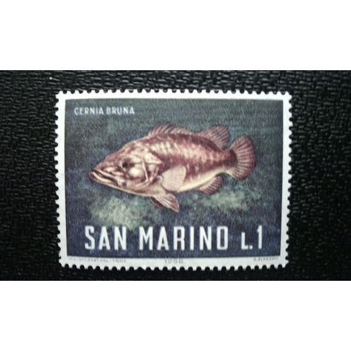 Timbre San Marino (Yt 676 ) 1966 Séries: Poisson De L'épave De L'atlantique (Polyprion Americanum)